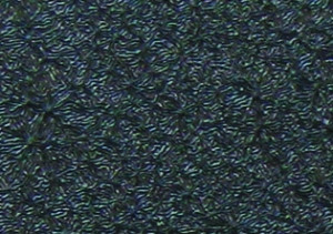 Стальная дверь "Легионер" (венге)